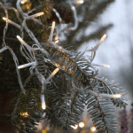 Ljósketa Serie Micro LED 180-ljós