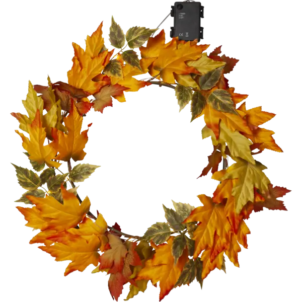 Autumn Kransur 30-Perur
