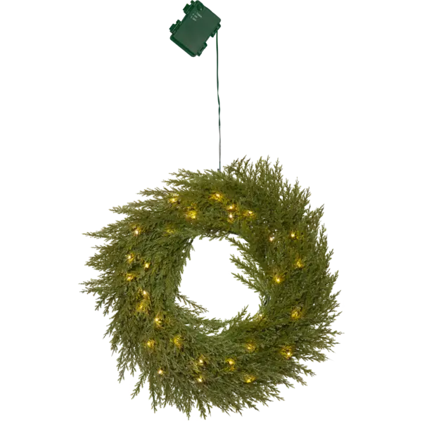 Thuja Kransur Battarí 30-Ljós