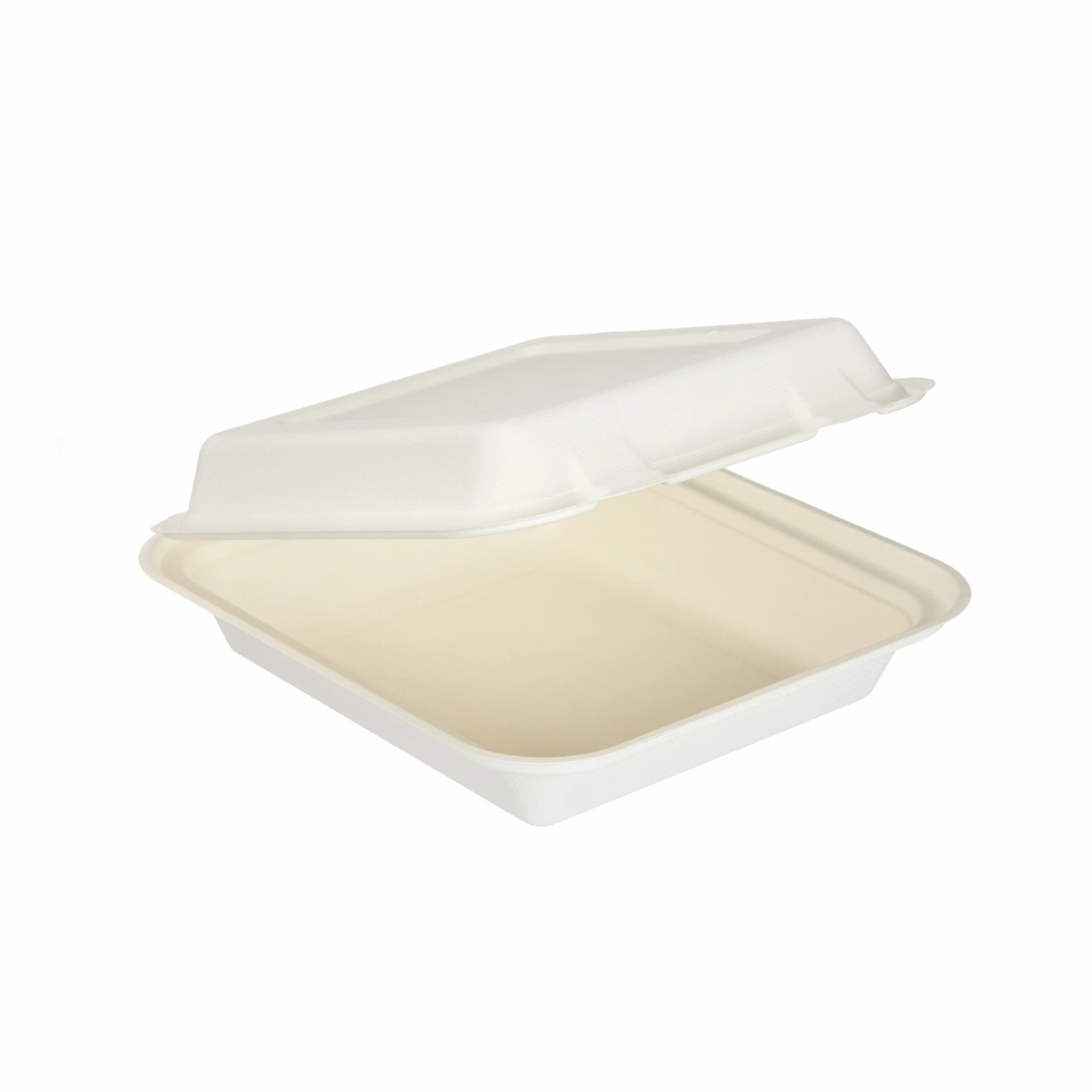 Gp Bagasse Lunch Box Square 8″ 50 Stk.