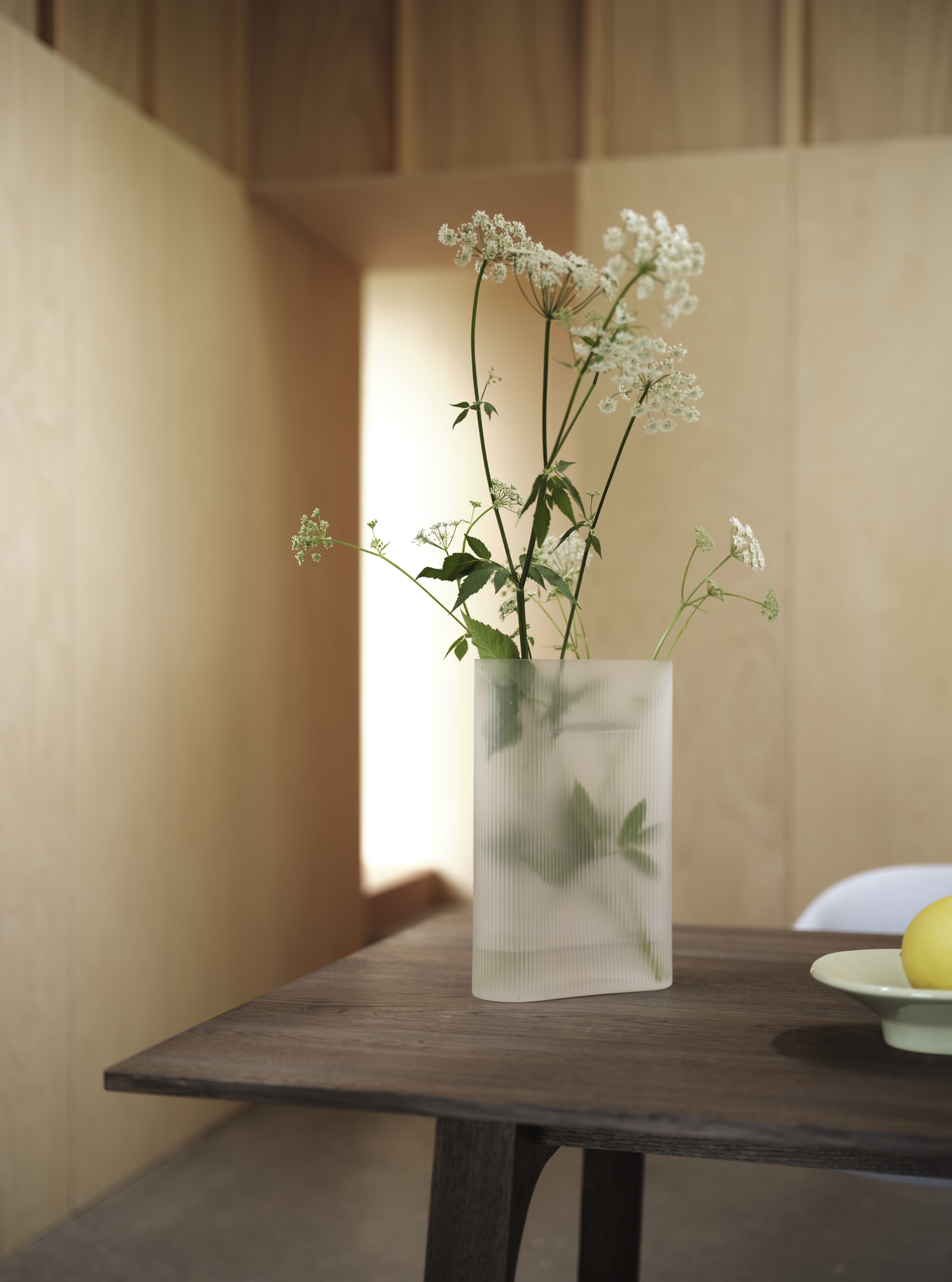Ridge | Vasi